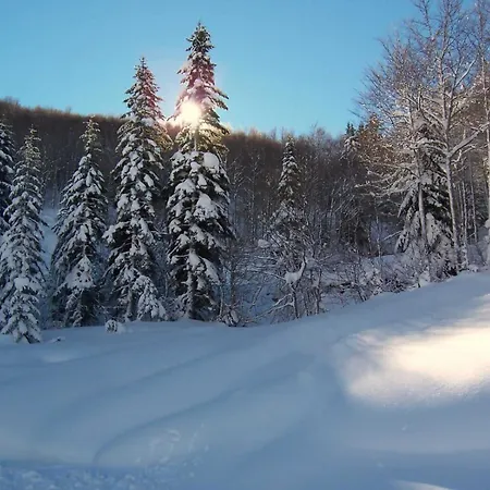 Rasmia Bienvenidos A Apartamento *