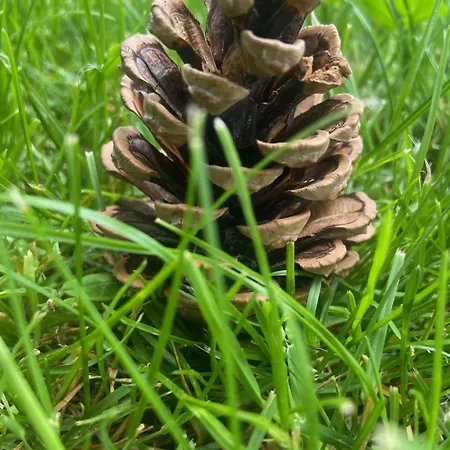 Apartamento Rasmia Bienvenidos A Canfranc