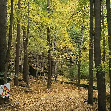 公寓 Rasmia Bienvenidos A 坎弗兰克