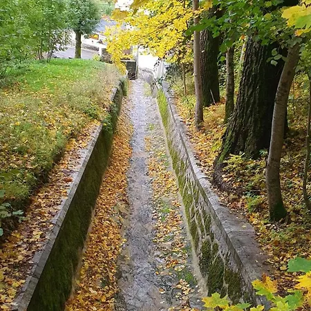 Rasmia Bienvenidos A *